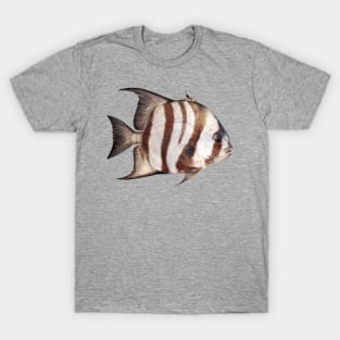 Angel Fish T-Shirt